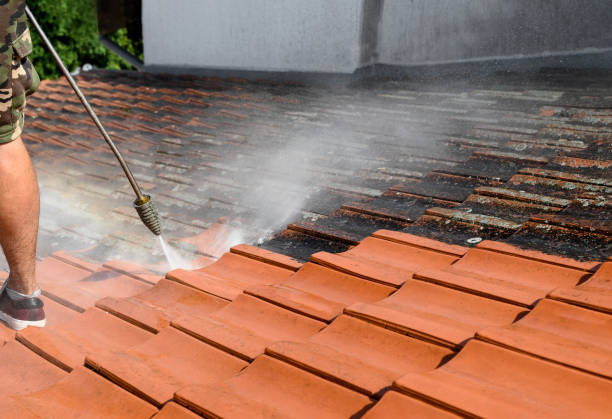 Best Affordable Power Washing  in Trenton, TN