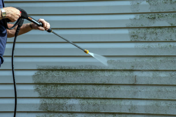 Best Roof Power Washing Services  in Trenton, TN