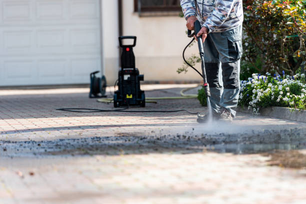 Best Pressure Washing Near Me  in Trenton, TN