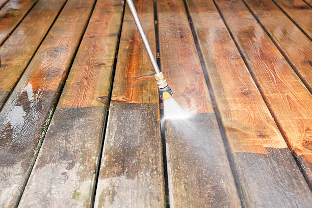 Best Sidewalk Pressure Washing  in Trenton, TN